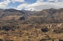 Linda paisagem marcada por terraços para cultivo nas montanhas, no vale do rio Colca, região de Arequipa - Peru